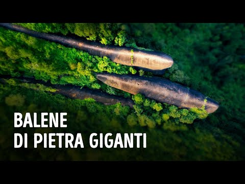 50 Scoperte Inesplicate Che Scatenano Teorie Selvagge