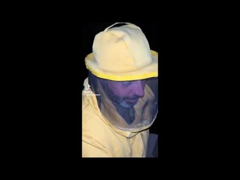 Da Assisi a Morlupo, trasferito uno sciame di api che minacciava un agriturisno