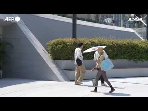 Cina, allarme per l’ondata di caldo a Shanghai