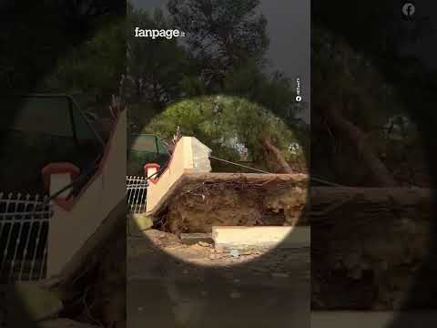Tromba d’aria con bomba d’acqua a Ginosa Marina: alberi sradicati e cancelli divelti #shorts #news