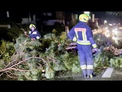 Alto Adige: video del maltempo, alberi caduti, grandine e allagamenti