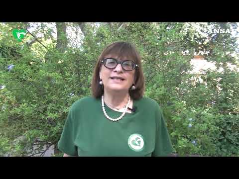 L’orsetto Kuma, da Roma alla Germania verso la semiliberta’