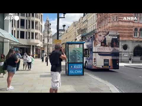 Londra, Banksy svela la settima opera a tema animale in una settimana