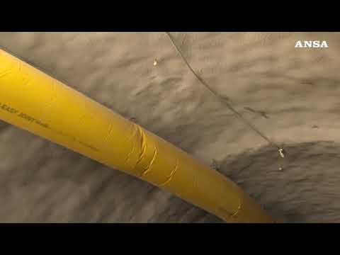 Le api come sentinelle ambientali in cantiere