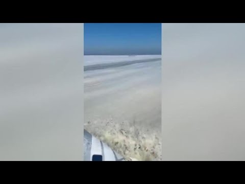 Mucillaggine in Adriatico