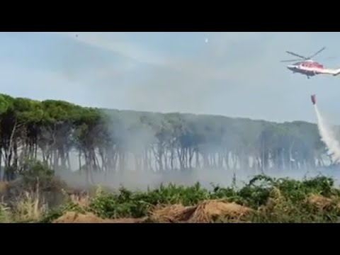 Ravenna, incendio alla pineta di Punta Marina: vigili del fuoco in azione