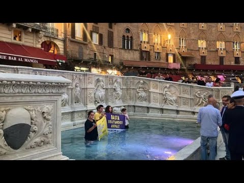 siena, attiviste di ribellione animale tingono di nero l’acqua della Fonte Gaia in Piazza del Campo