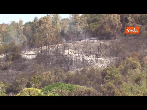 Incendio a Monte Mario, le voci dei cittadini: “Era prevedibile, si è perso un polmone verde”