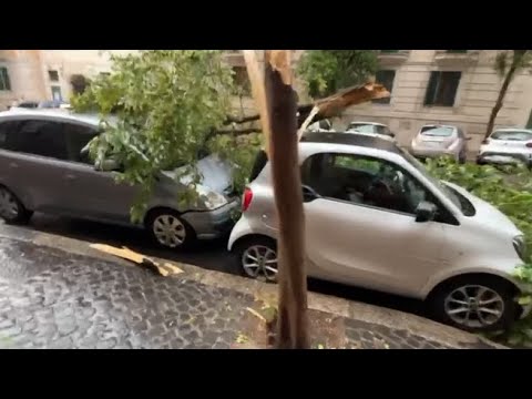 Bomba d’acqua a Roma, alberi cadono sulle auto parcheggiate a Prati