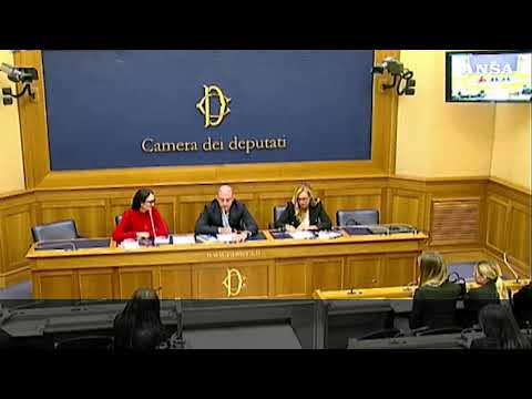 Camera, in sala stampa tra i conferenzieri per la prima volta c’e’ un cane