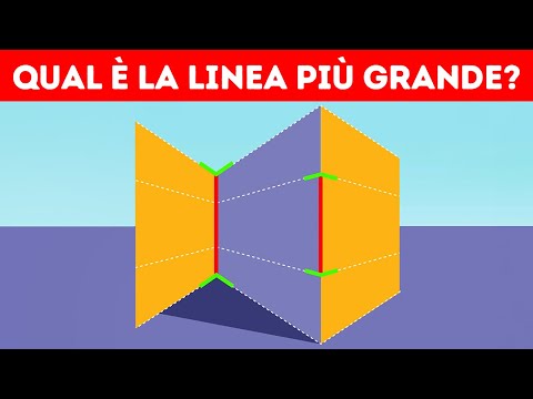 Le Migliori Illusioni Ottiche Che Faranno Impazzire il Tuo Cervello