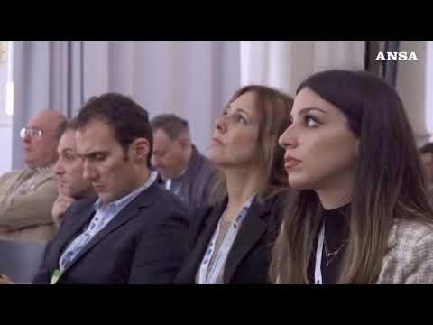 Barbo (Amazon), “serve capillare infrastruttura di ricarica”