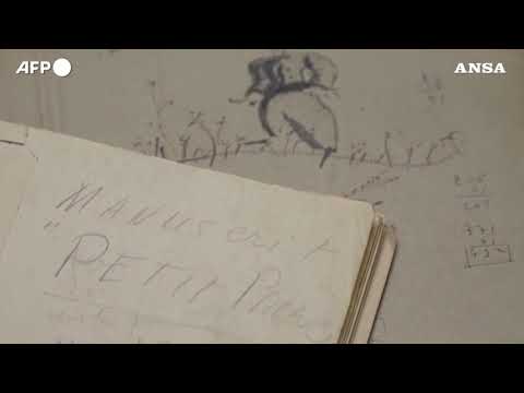 “Il piccolo principe”, il dattiloscritto in vendita per 1,25 milioni di dollari