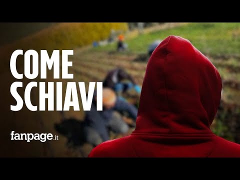 “12 ore nei campi e poi rinchiusi in un container”: braccianti in schiavitù alle porte di Roma