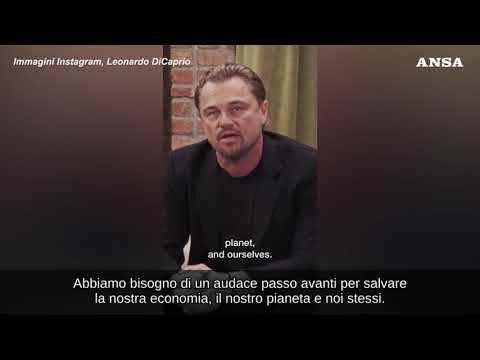 Usa2024, DiCaprio appoggia Kamala Harris