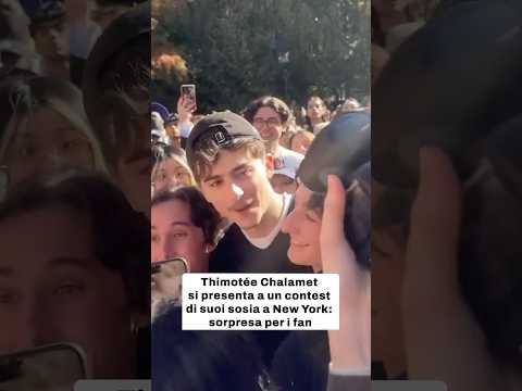 Timothée Chalamet si è presentato a un contest di sosia di Timothée Chalamet. Tutto vero.