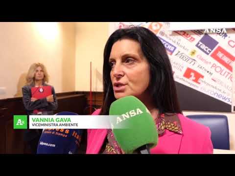 Transizione gemella importante per oltre 7 italiani su 10