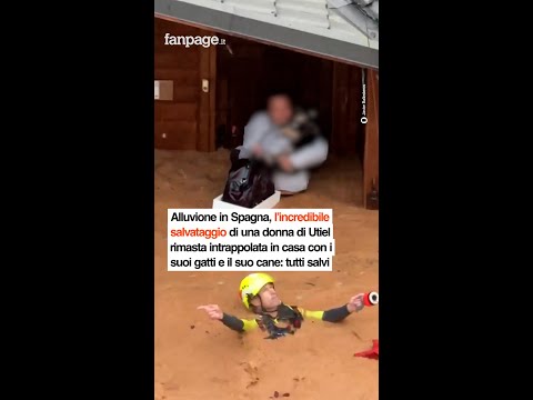 Alluvione in Spagna, salvata donna di Utiel intrappolata in casa con i suoi gatti e il suo cane