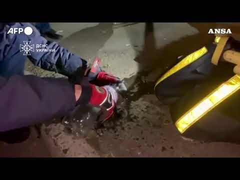 Kiev, edificio colpito da un drone russo: gattino salvato ed estratto dalle macerie