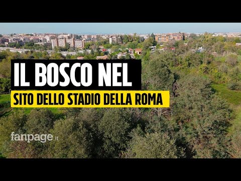 Ecco il misterioso bosco di Pietralata che può bloccare lo stadio della Roma