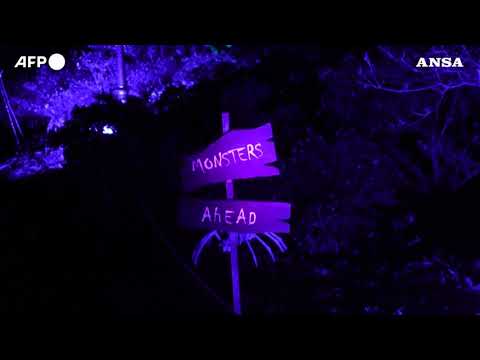 Halloween, un percorso luminoso e “spettrale” ai Kew Gardens di Londra