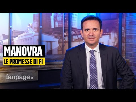 Manovra, Cattaneo (FI) a Fanpage.it: “La Lega punta sulla flat tax? Più importante tagliare l’Irpef”