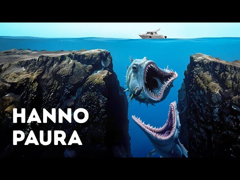 Perché gli Scienziati Non Vogliono Esplorare di Nuovo la Fossa delle Marianne