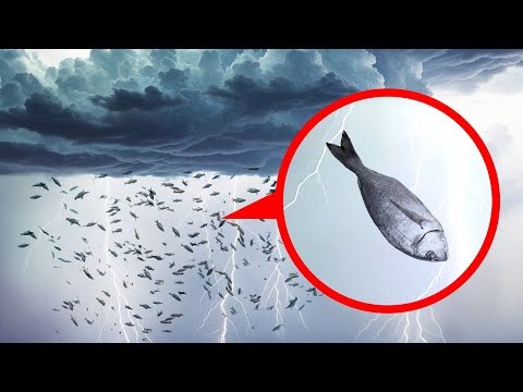 Gli Spettacoli Naturali Più Affascinanti da Visitare