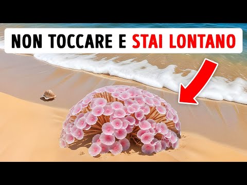 Notato questo? Stai lontano o affronta le conseguenze!