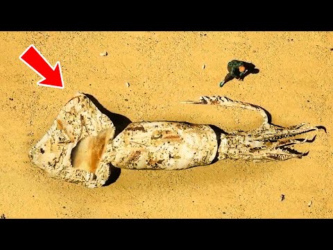 Cose più strane trovate sulla spiaggia + Altre scoperte bizzarre