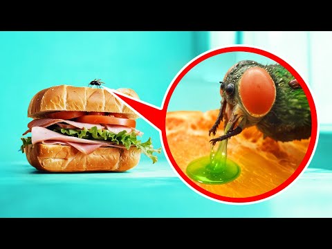 Oltre 100 fatti interessanti così folli, che potrebbero avviare un dibattito