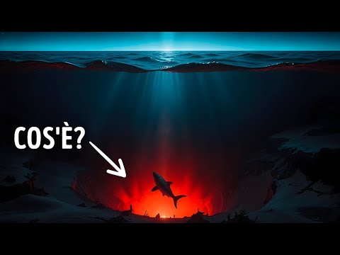 Scienziati Fanno una Scoperta Agghiacciante sul Fondo del Mar Rosso