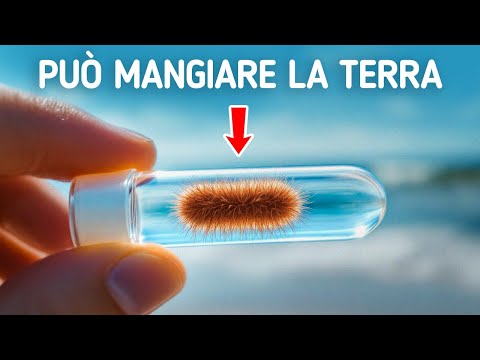 Esperimenti che potrebbero causare la fine del mondo