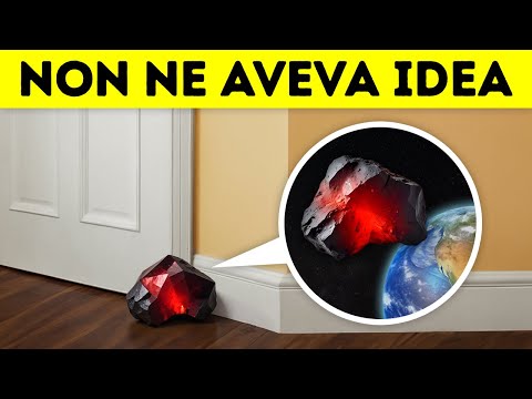 Un uomo ha Conservato una Strana Roccia per Anni, Poi ha Scoperto che Valeva una Fortuna