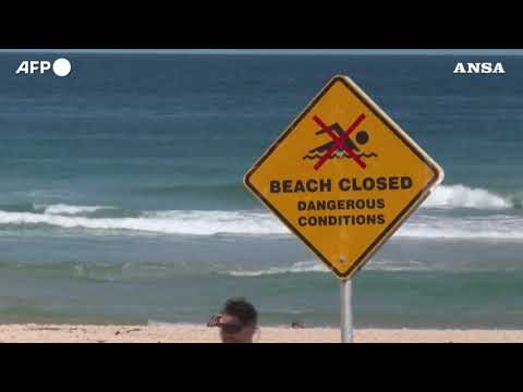 Sydney, palle di catrame si riversano sulle spiagge