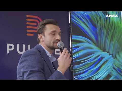 Lubrani (Pulsee): “Gli investimenti sul digitale ci hanno premiato”