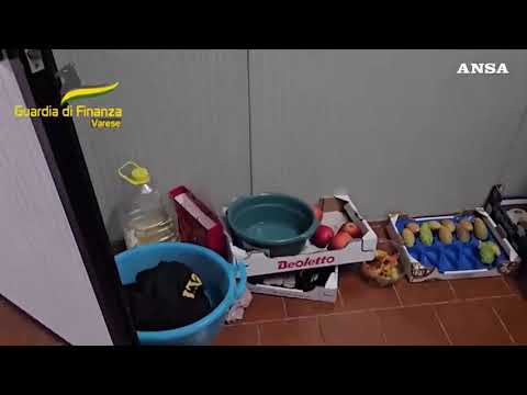 Varese, cucivano vestiti per l’alta moda vivendo sul posto di lavoro