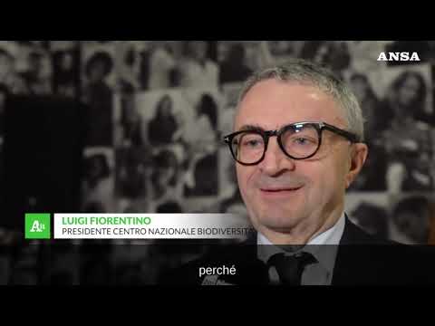 A Palazzo Esposizioni la mostra “L’elogio della biodiversita’”