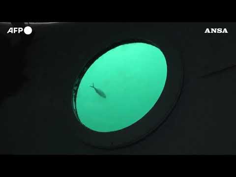 L’ingegnere aerospaziale che vive a 11 mt sotto il livello del mare