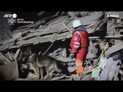 Ucraina, colpita la stazione di polizia di Kharkiv: ucciso un agente