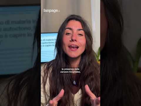 Il caso di malaria a Verona non è autoctono: facciamo chiarezza