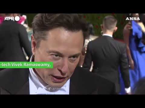 Musk e’ il doge, che cosa vuol dire