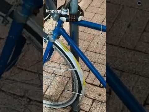 Falso cieco andava in bicicletta e faceva la spesa: truffa da 100mila euro sgominata dai finanzieri