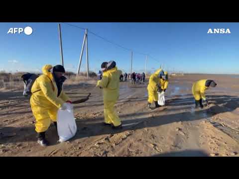 Russia, soccorritori e volontari puliscono una spiaggia del Mar Nero