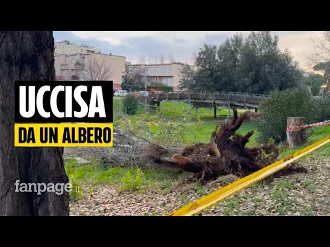 Albero crolla e uccide una donna a Roma, una testimone: “I bimbi aspettavano che si svegliasse”