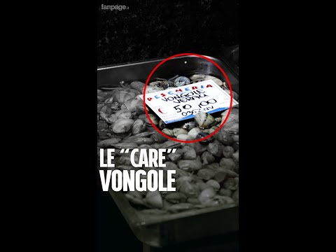 Vongole oltre 50 euro a Napoli per Vigilia, Natale e Capodanno: perché ci costano di più?