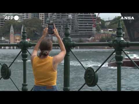 Capodanno: Australia, al porto di Sydney quasi un milione di persone per lo spettacolo pirotecnico