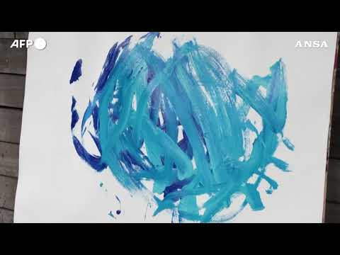 Ecco Baanksy, la pecora sudafricana che dipinge