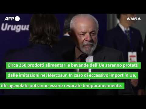 Dai dazi ai paletti climatici, l’accordo Ue-Mercosur