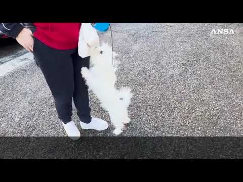 Omicidio a Nettuno, donna uccide l’ex accoltellandolo